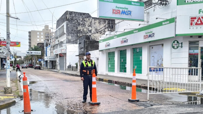 dispositivo_control_seguridad_en_plaza_mitre_6_ilustracion_nota_a_alejandro_strorti