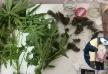 Golpe al narcormenudeo tras un allanamiento en Corrientes