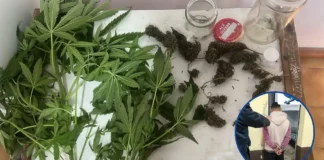 Golpe al narcormenudeo tras un allanamiento en Corrientes