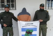 Corrientes: detuvieron a un joven por matar a balazos a un perro