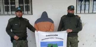 Corrientes: detuvieron a un joven por matar a balazos a un perro