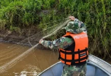 Incautaron en Corrientes más de mil metros de redes en el río Uruguay