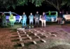 Secuestran más de 17 kilos de marihuana abandonados en una ruta de Corrientes
