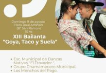 Goya Taco y Suela