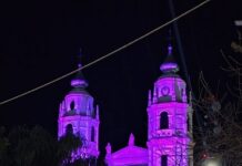 Semana Internacional de la Lactancia Materna