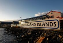 Polémica en Malvinas por un megaproyecto para instalar una salmonera