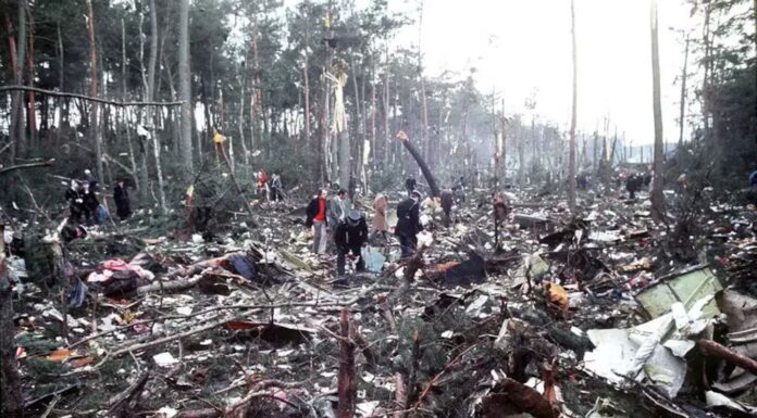 El trágico accidente del vuelo 981: se desintegró en el aire y dejó 52 niños huérfanos