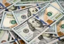El Gobierno oficializó el DNU que flexibiliza los créditos en dólares para empresas