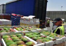 Menos controles: levantan más restricciones y flexibilizan la importación de alimentos