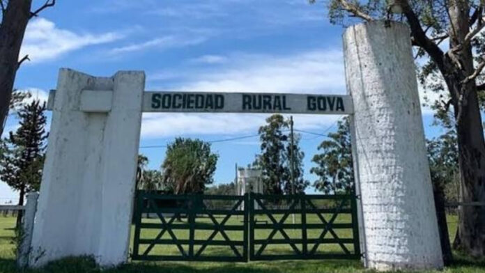 transito_en_sociedad_r