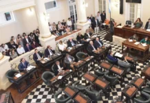 El Senado dio media sanción al Plan de Conservación de Grandes Felinos que indemnizará a productores