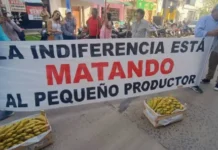 Bananeros se movilizan en Formosa y regalarán 5000 kilos de frutas