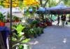 Las Ferias de la Ciudad recorrerán espacios y plazas públicas con muchas ofertas