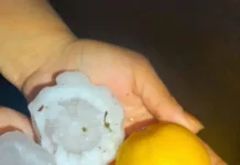 Varias localidades de Corrientes afectadas por temporal de granizo