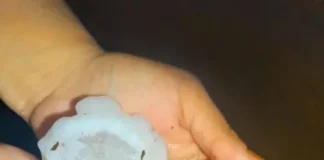 Varias localidades de Corrientes afectadas por temporal de granizo