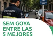 SEM GOYA