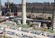 El gobierno nacional se prepara para privatizar dos centrales eléctricas