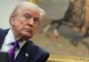 Trump advirtió que Irán será golpeado “con mayor dureza”