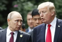 Trump a Putin: le pidió acelerar el fin de la guerra en Ucrania