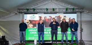 Medio millar de personas participó de la Jornada a Campo del IPCVA en la Morocha de Goya