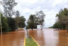 Paso de los Libres: el río superó el nivel de evacuación