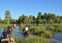 Fin de semana largo en Corrientes: 80% de ocupación hotelera