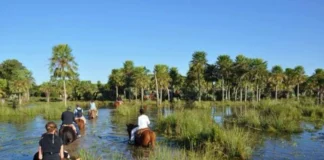 Fin de semana largo en Corrientes: 80% de ocupación hotelera