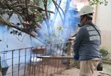 Dengue en Corrientes: intensifican los controles en barrios afectados por la crecida