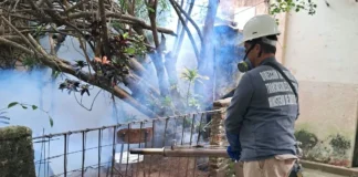 Dengue en Corrientes: intensifican los controles en barrios afectados por la crecida