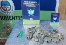 Aprhendieron a un joven durante recorridas preventivas