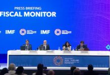 El FMI elogió el ajuste fiscal de Argentina