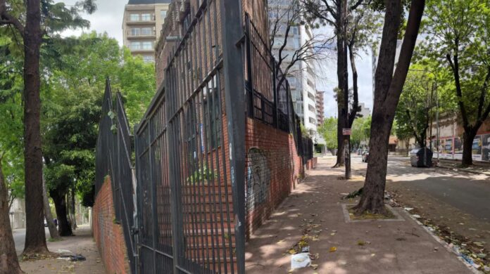 la-indignacion-de-la-mama-del-bebe-de-12-dias-que-murio-tras-caerle-una-palta-en-la-cabeza-despues-de-lo-que-paso-podaron-los-arboles-foto-tn-E4PROBK7Y5FQHC4PT4QVYJRJ6Y